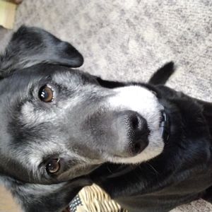 Meet your Posher, Cathy